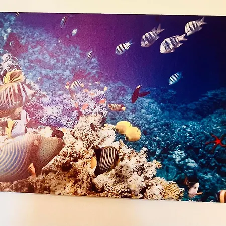 Apartment Casa Cuto Bagheria